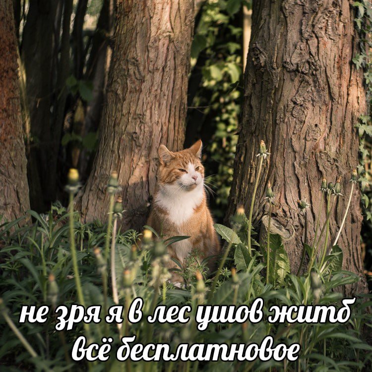 🐸жабья принцесса👑 (@kxiq7u7oc8nsgnc) on Twitter photo 