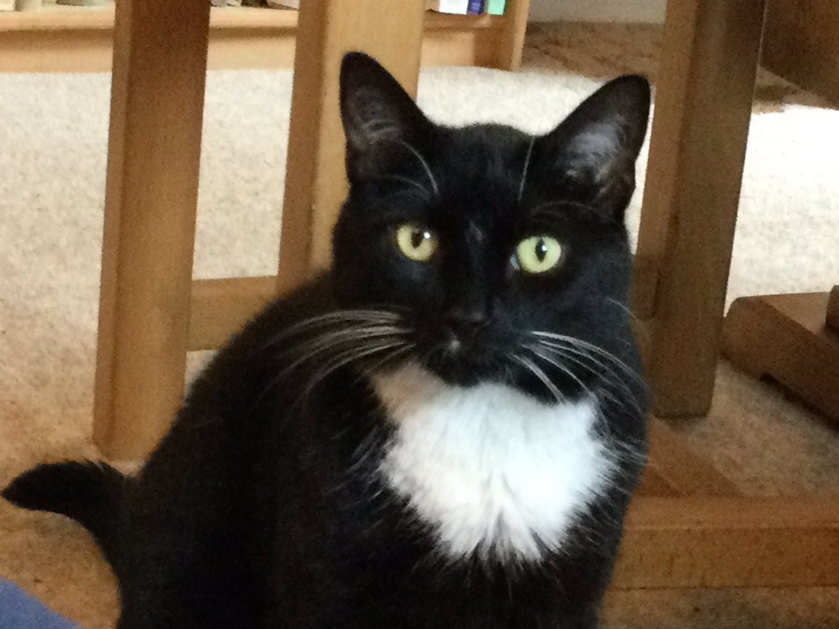 Suffolk born, gamekeeper's son tweet media