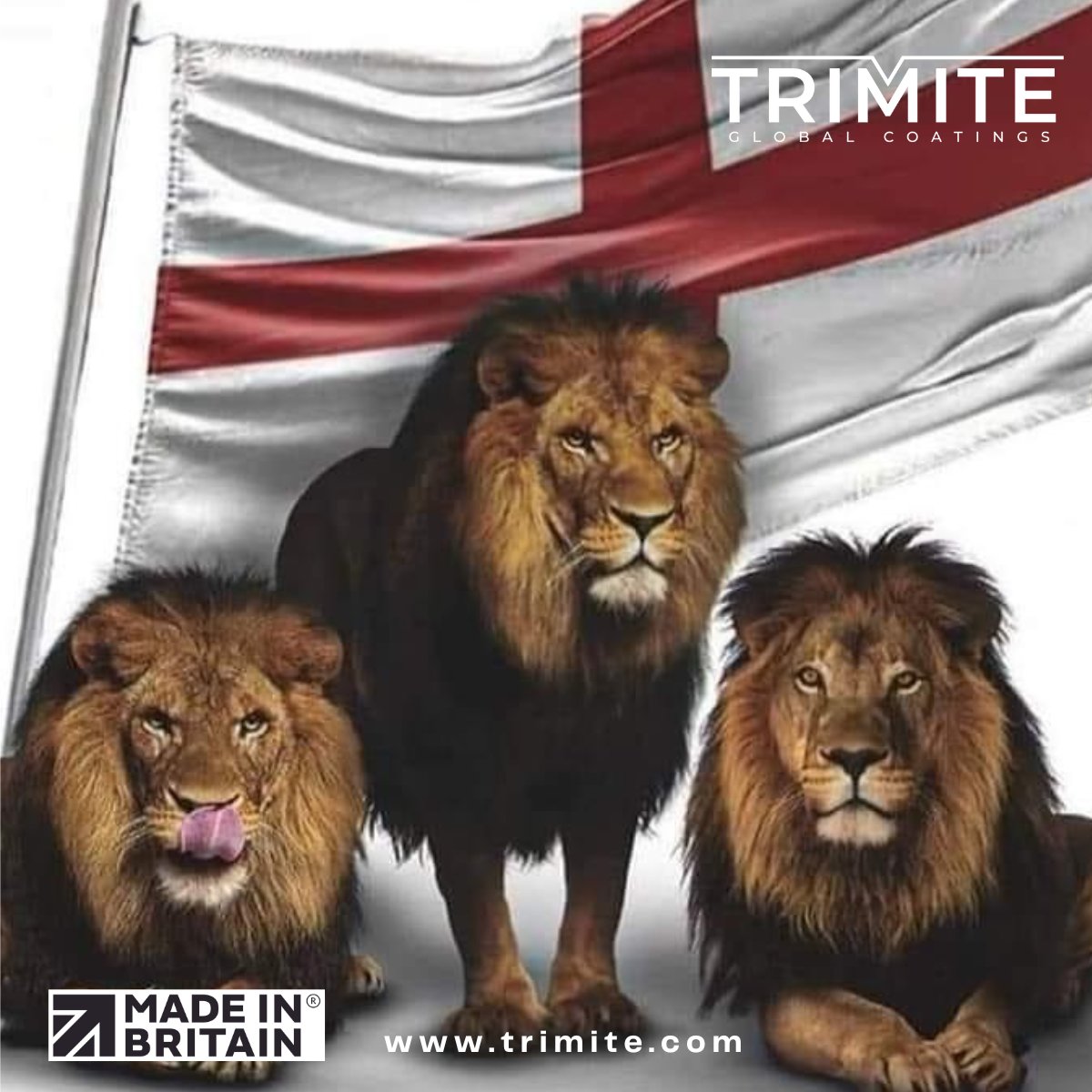 Trimite tweet picture