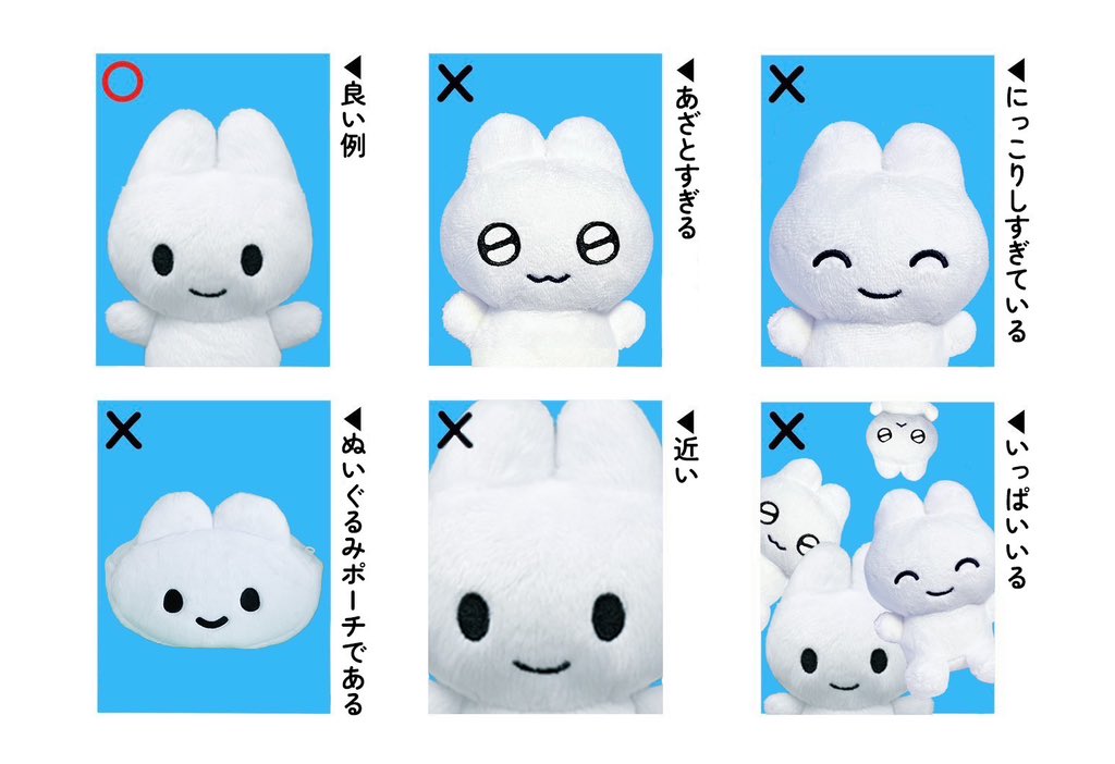 証明写真の撮り方おしえたげる