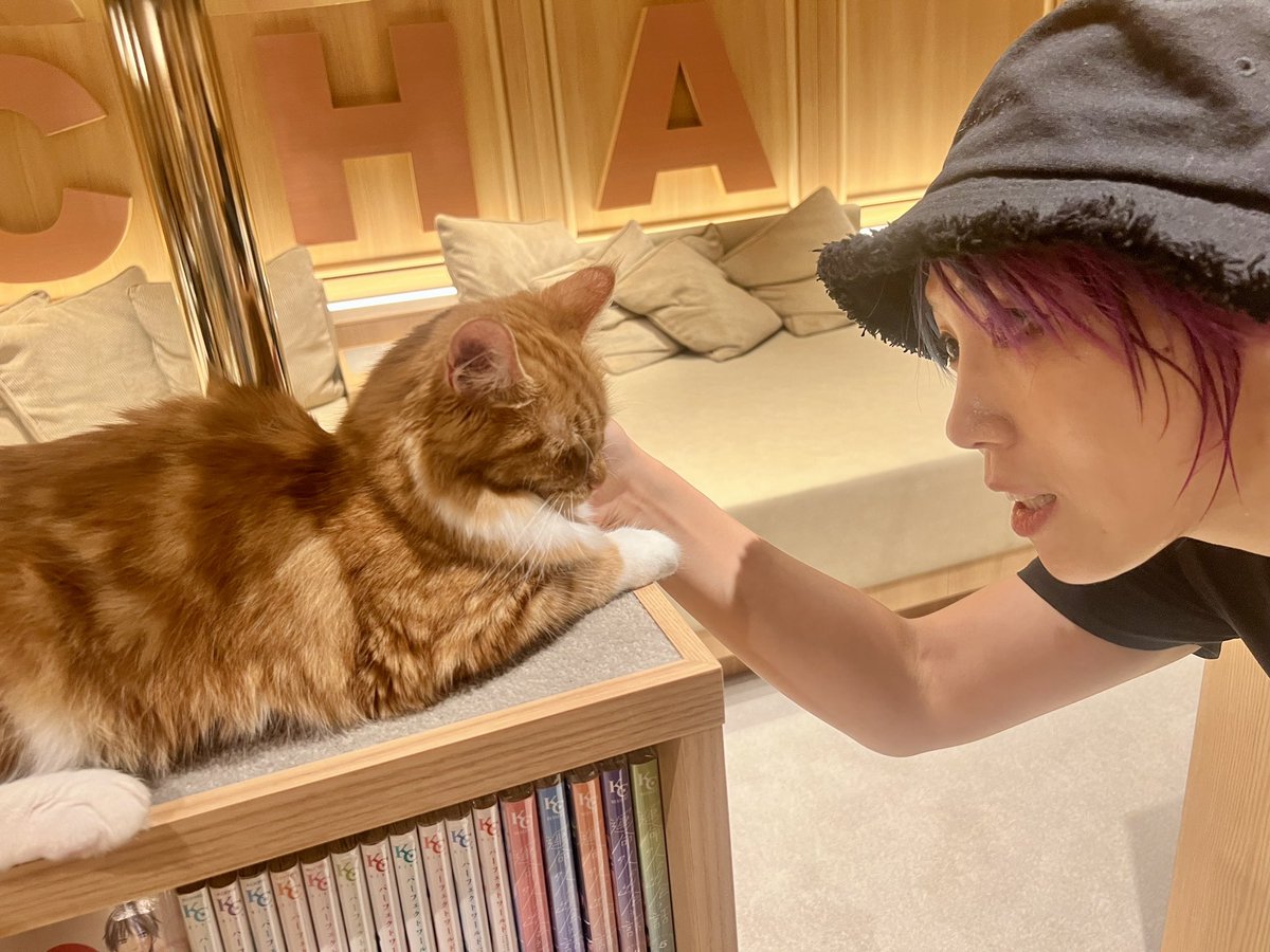 WWEAsuka's tweet photo. https://t.co/osMJM5cxlY