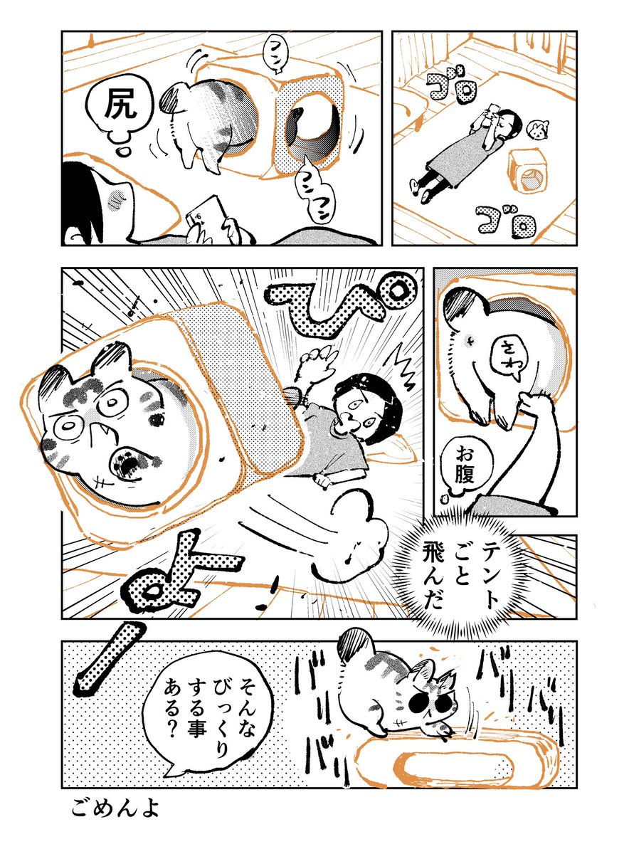 3本足のしじみちゃん223 