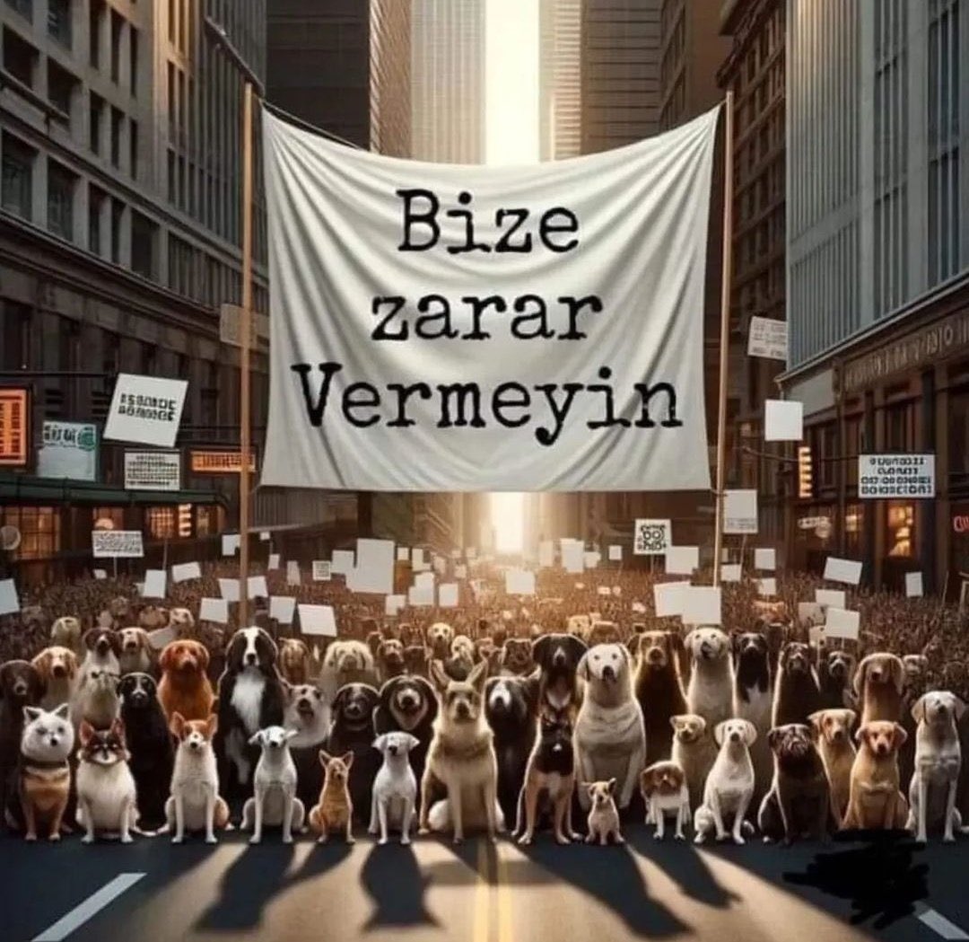 baakBitirim4's tweet photo. #YasayiGeriCek https://t.co/tduVWWkFbr