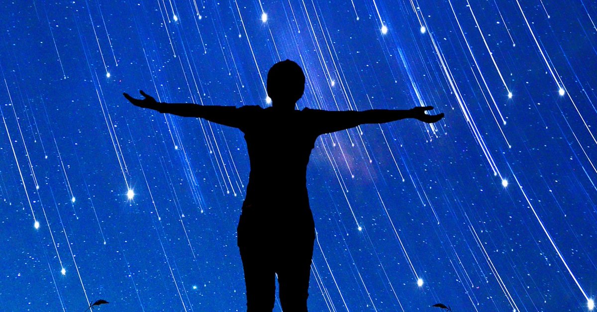 Barbara Zabawa tweet media