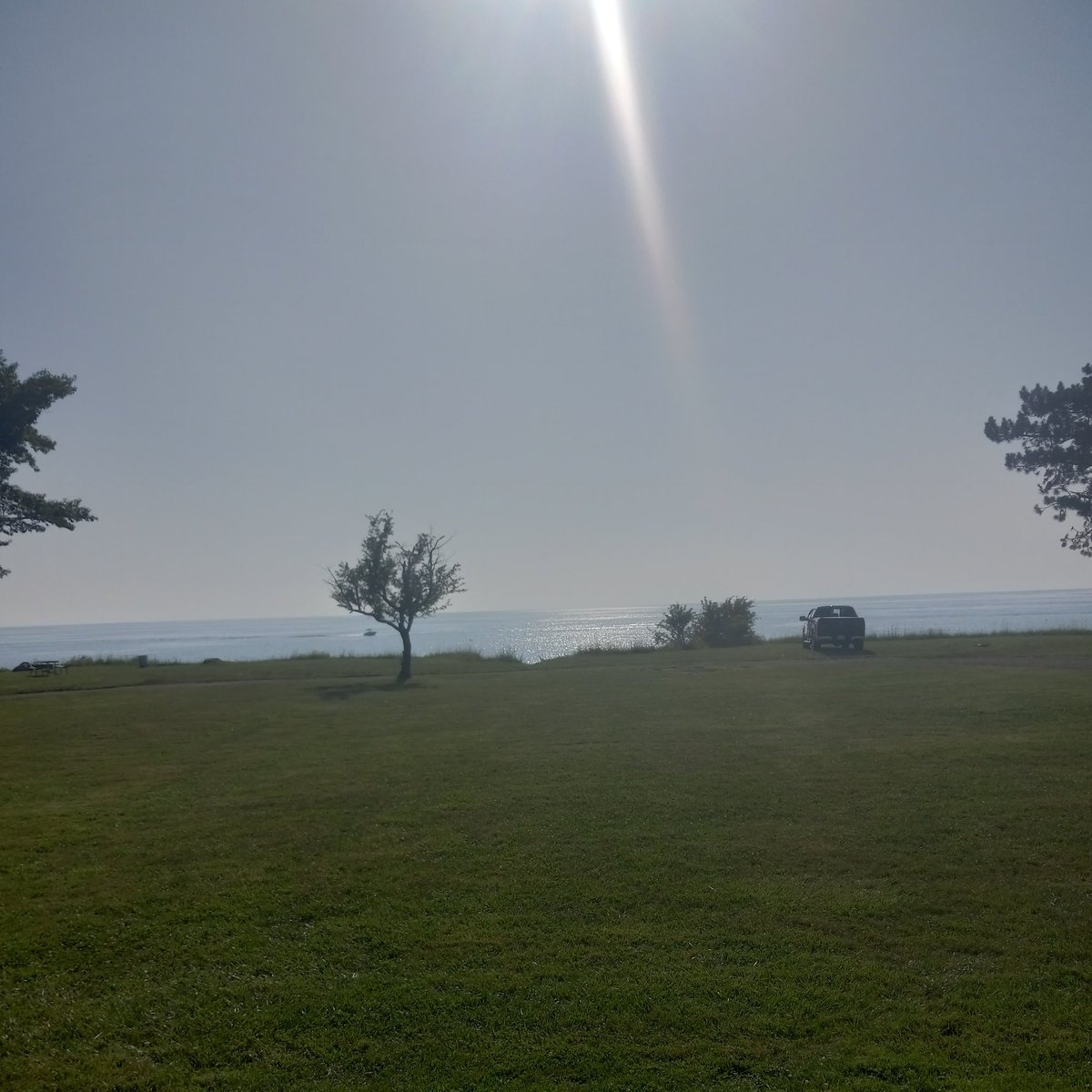 ⌞ O7. 13. 24 ⌟ 
. . went to the beach w/ my family, saw this tree that reminded me of one of ichiko aoba's album covers 

➜ #archivetwt #lifetwt