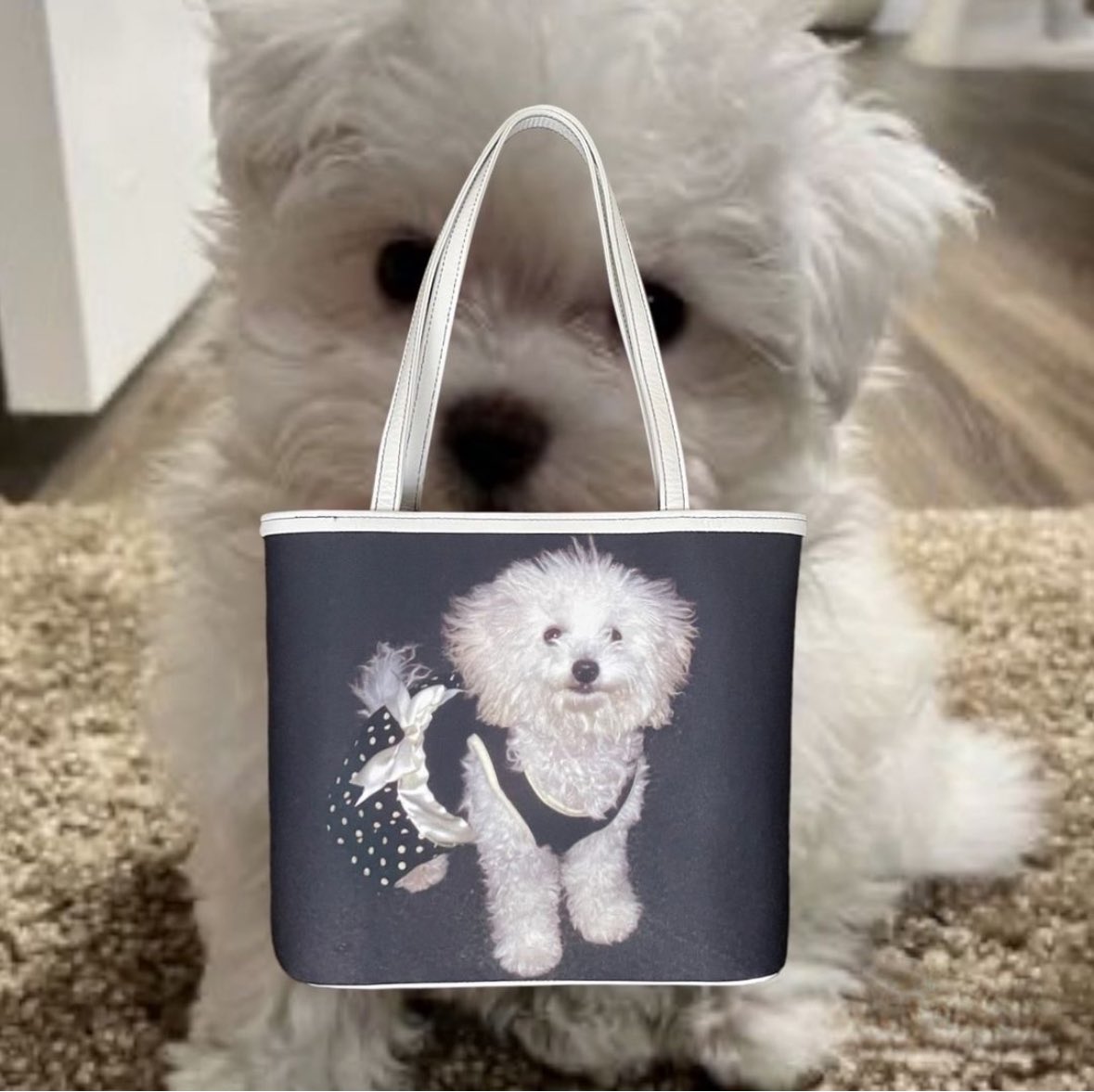 _nitako_'s tweet photo. Dog Photo Print Bag🐶👜🐶 https://t.co/bFqvodrj6R