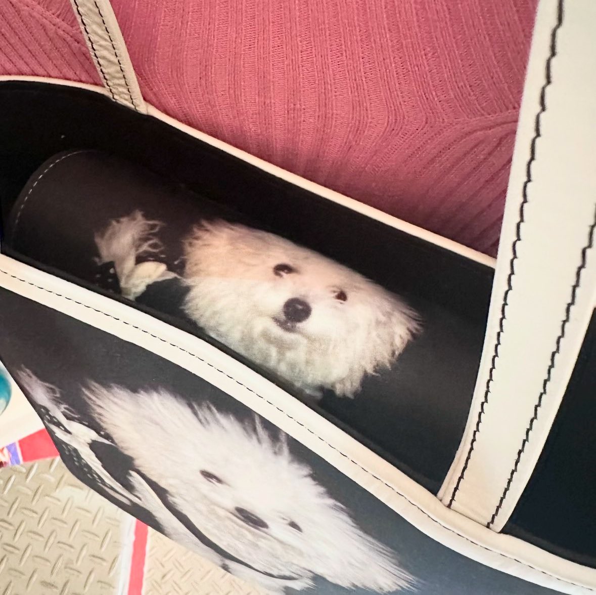 _nitako_'s tweet photo. Dog Photo Print Bag🐶👜🐶 https://t.co/bFqvodrj6R