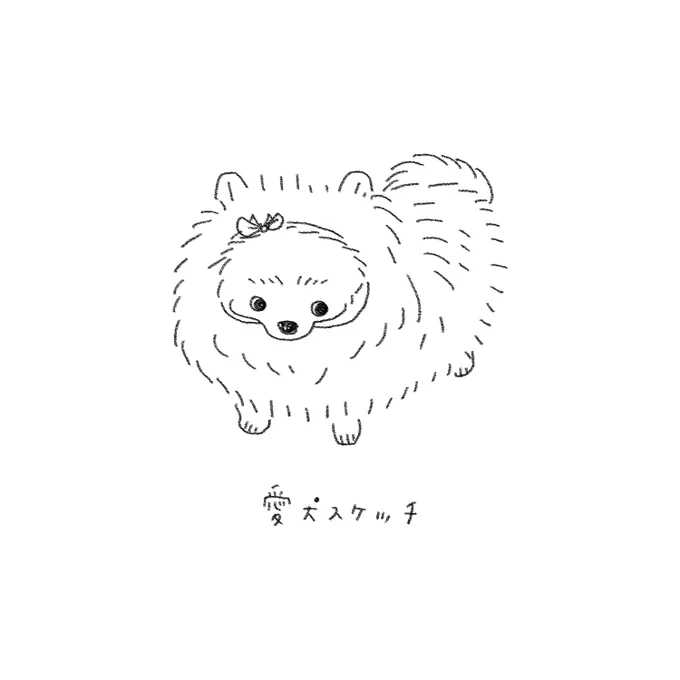 愛犬の絵です  リボンを巻いてみたら小顔さん