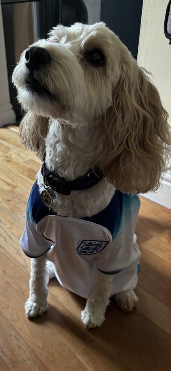 NetballTrinity's tweet image. #SSNThreeLions Albert’s all ready.