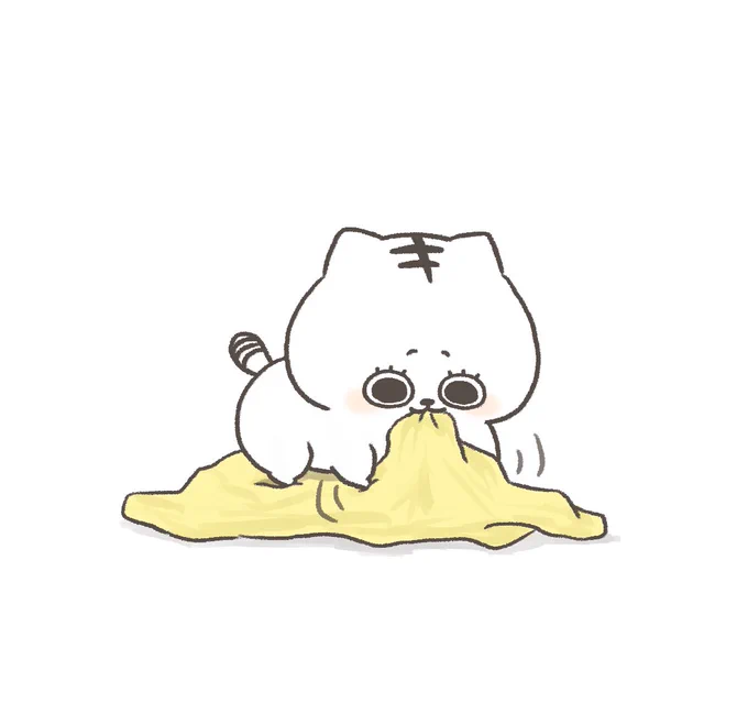 タオルケット