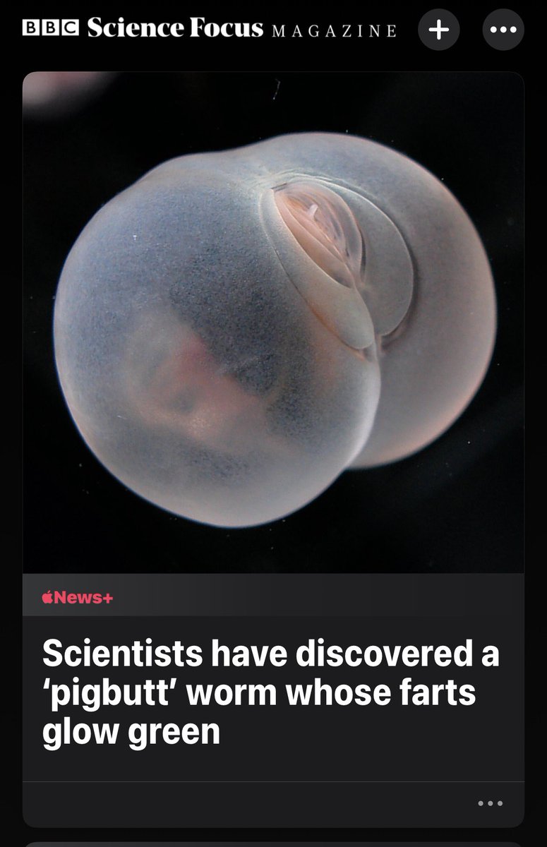 MikeDrucker's tweet image. Sticking with only good news today