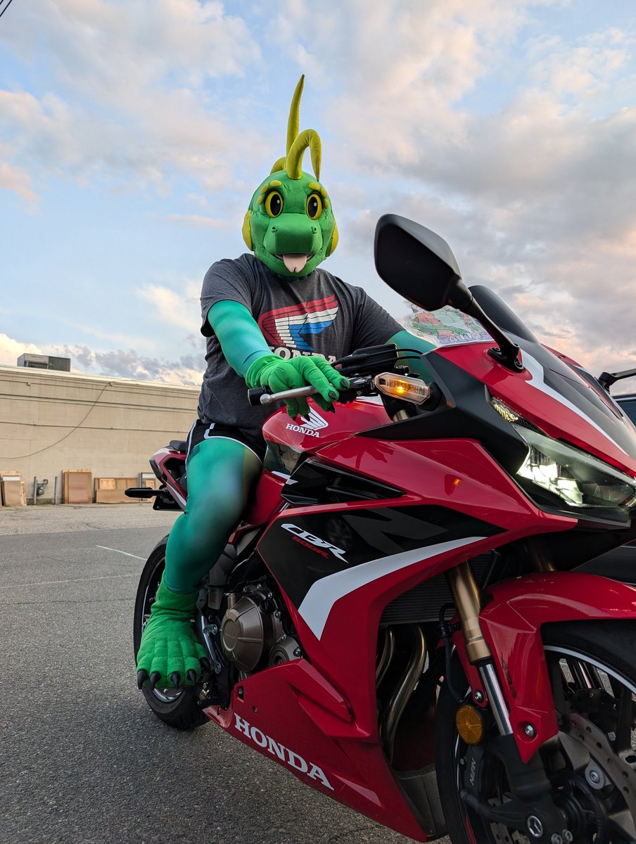 I'm a lizard not a squid! Why does everyone keep saying that?!