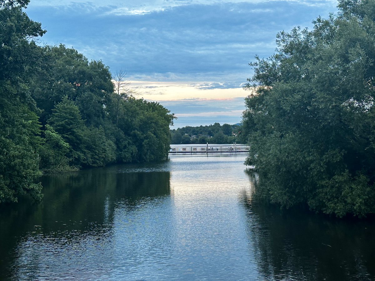 christopher mitchell tweet media