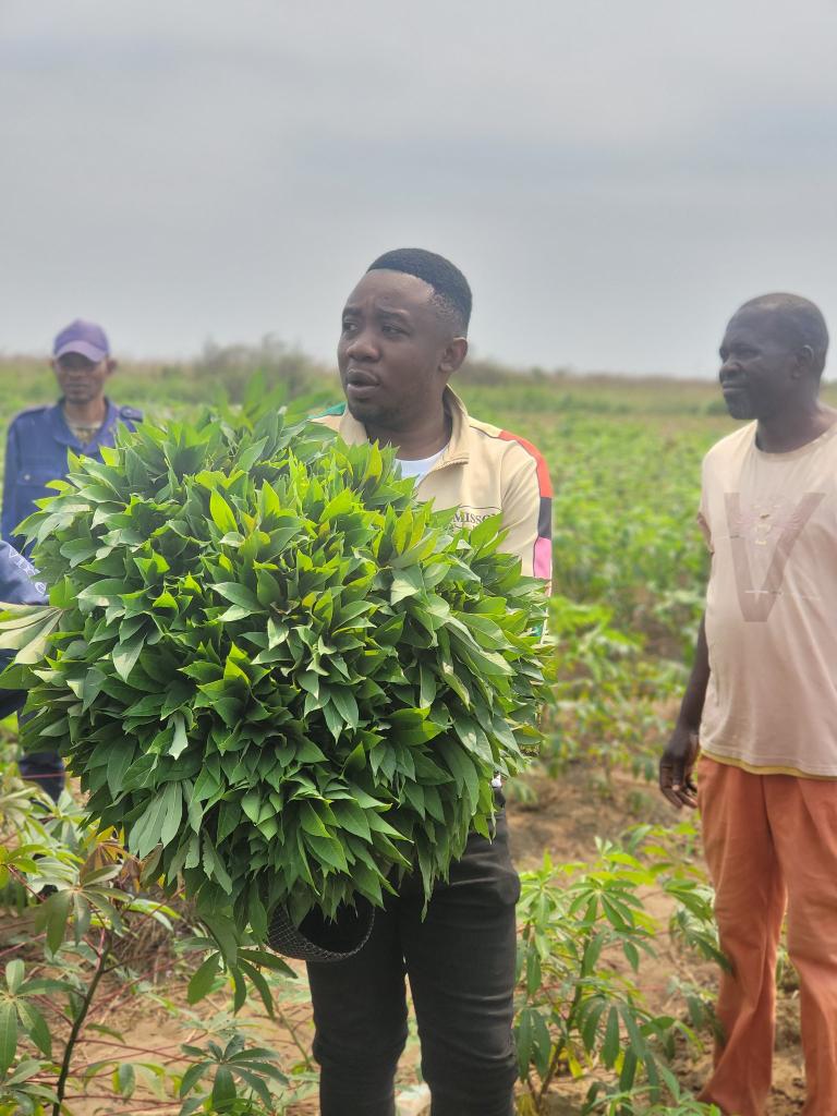 Solo Martin tweet media