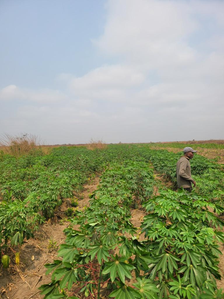 Solo Martin tweet media