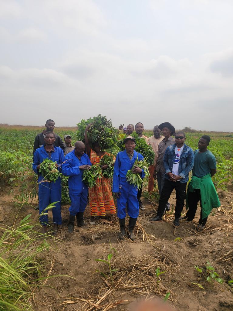 Solo Martin tweet media