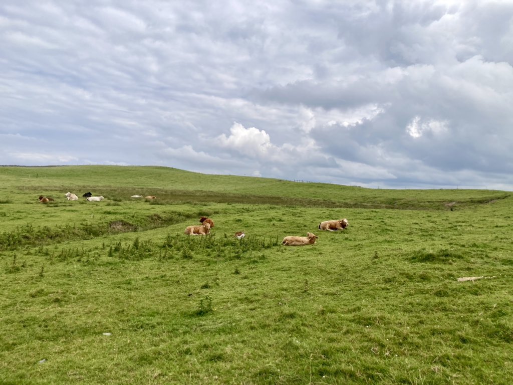 @austinlouisray.bsky.social tweet media