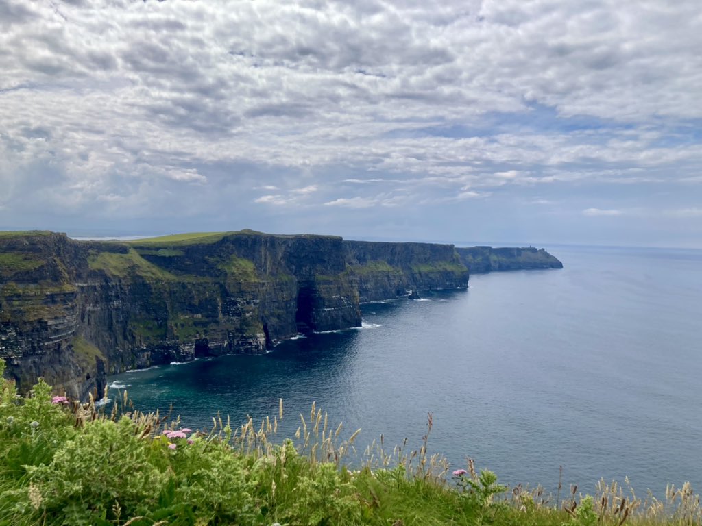 @austinlouisray.bsky.social tweet media