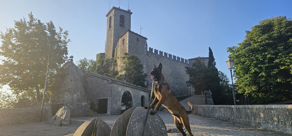 TexBayou's tweet photo. San Marino #SanMarino 

Lots of hiking up and down the mountain. Saw each castle tower with a pose on each. 

#belgianmalinois https://t.co/Lql2h0zRe5
