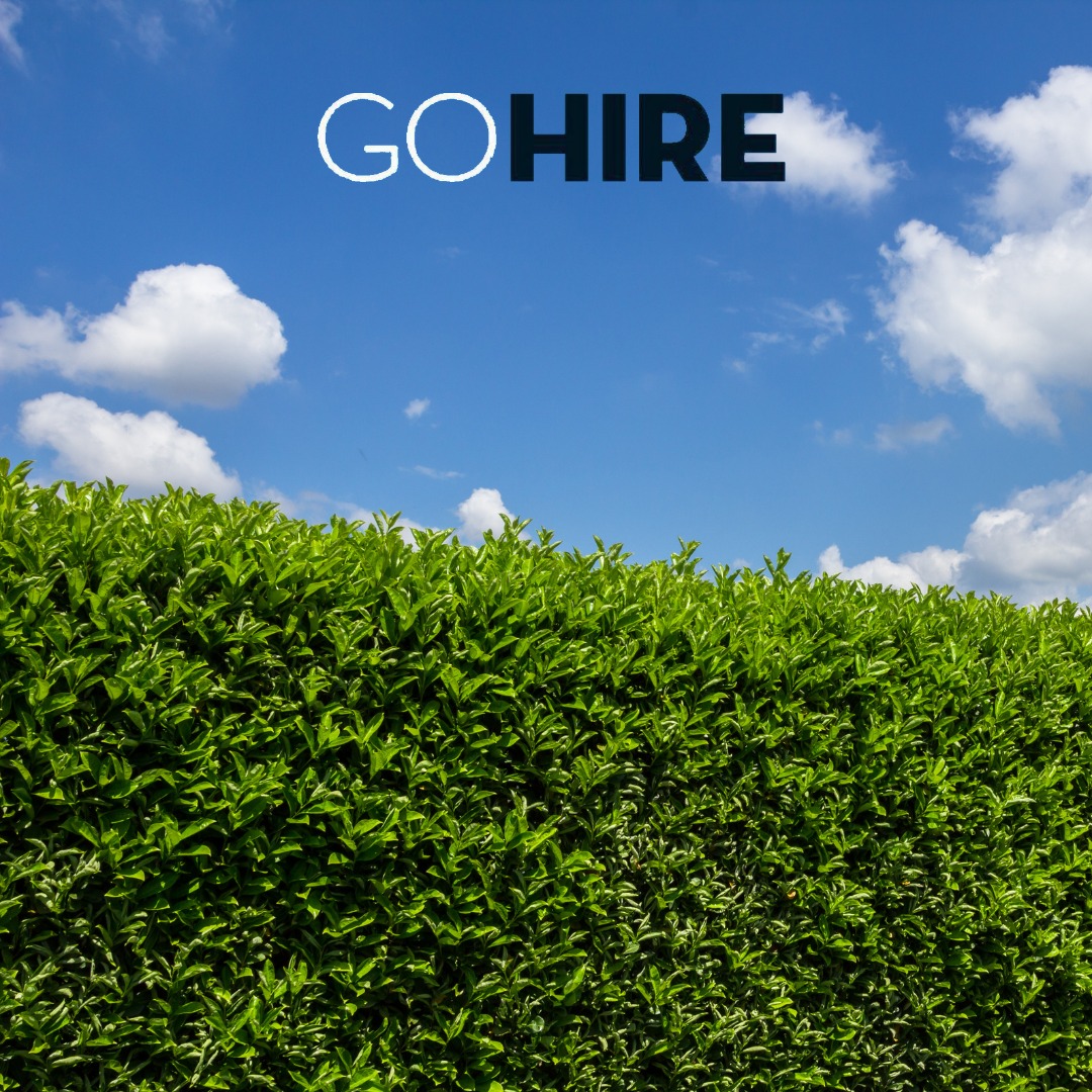 Spent the weekend looking at an unruly hedge, wondering how you're going to trim it? Contact your local GoHire depot when we reopen at 7.30am tomorrow and we'll sort you out.
