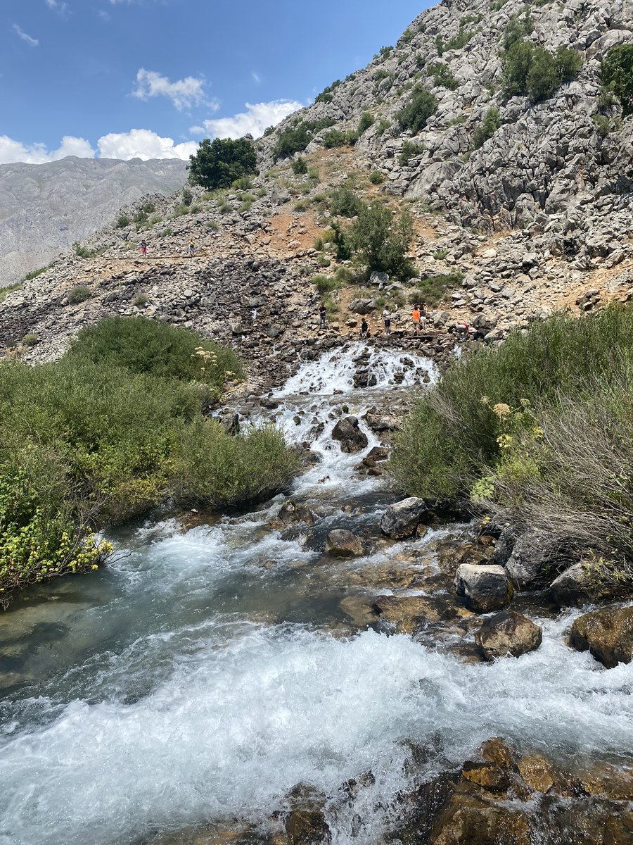 Mslmudm0's tweet photo. Dersim https://t.co/VDNW4FbcIb