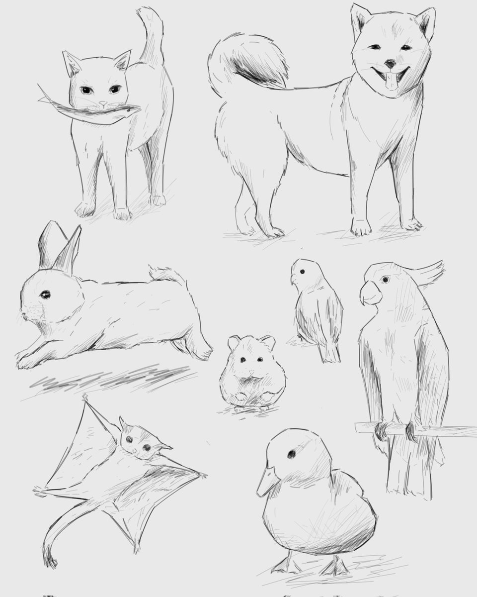cupss03's tweet photo. Animal skets 
#digitalart #skeats https://t.co/ZPjsq7l86v