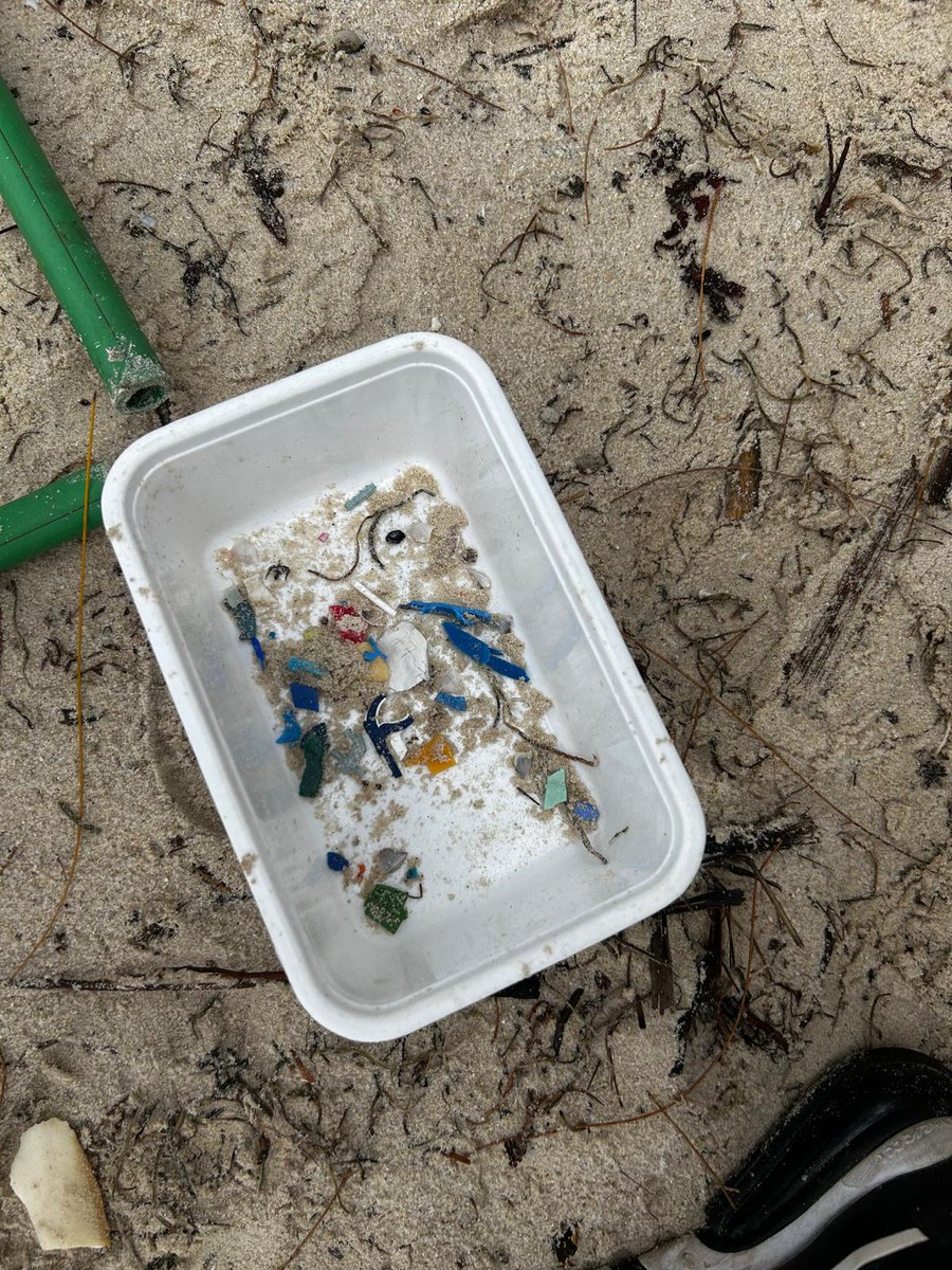 campkenya tweet media