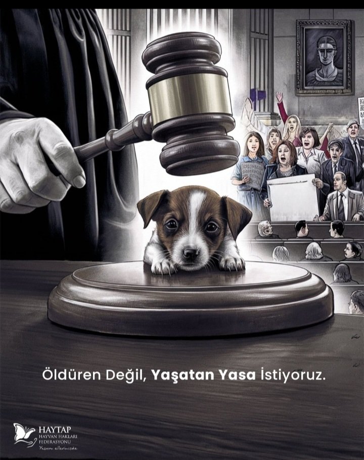 HİÇ KİMSE KENDİ BECEREKSİZLİGİNİ HAYVANLARA ÖDETEMEZ.BU CANİLİKTİR.CAHİLLİKTİR.YÜZ KARASIDIR.
#UYUTMABENİ #YasayiGeriCek
#YasayıGeriÇekKatliyamaHayır