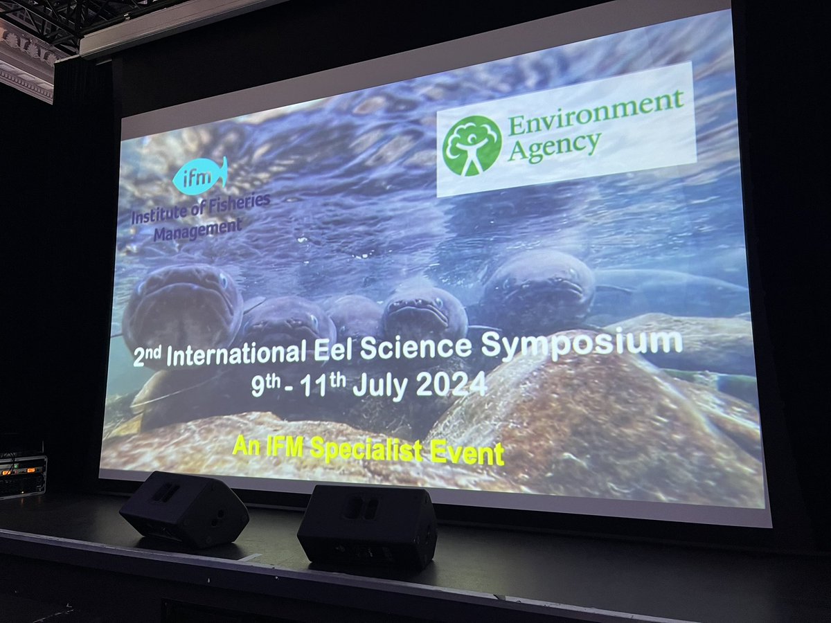 Hikaru Itakura(板倉光) tweet media