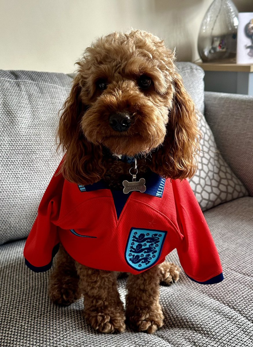 MarkKeeling18's tweet photo. #SSNThreeLions 

Bremner! https://t.co/HfGg1NApmE