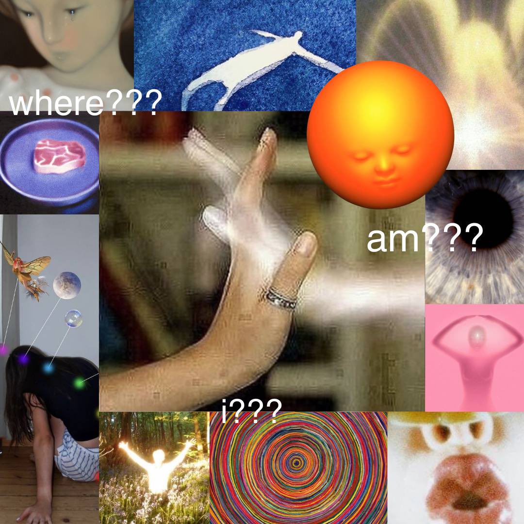 where_d_h3ck_am tweet picture