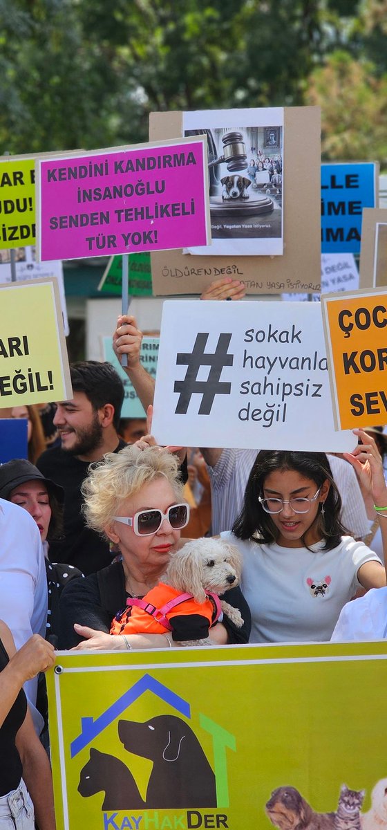 #KatliamıYasalaştırma #KatliamdanYasamıOlur #YasayiGeriCek #SokakHayvanlarıYalnızDeğil