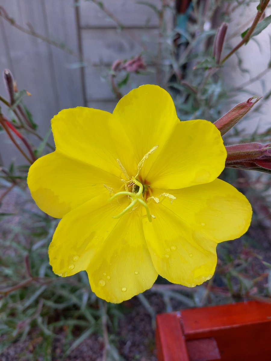 Linda Taylor (@lindakings) on Twitter photo 