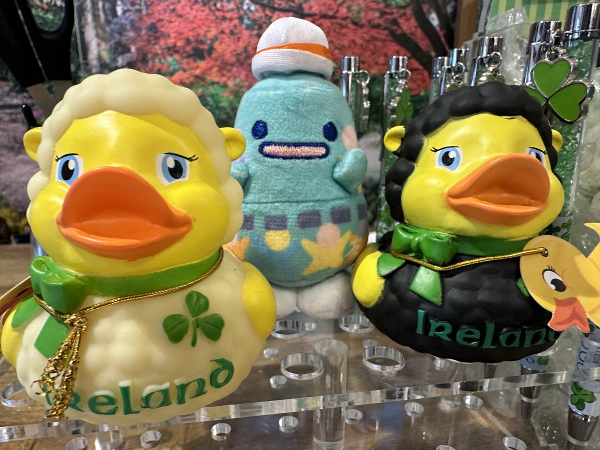 SileNicChormaic's tweet photo. Time to leave Ireland for #ICAP2024 #ICAP28 https://t.co/8Oa2gCxglj