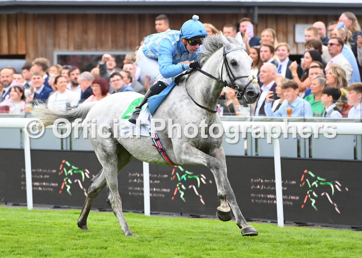 OfficialPhotographers (@offphoto) on Twitter photo IZENTERISKY & John Fahy win at Chester for trainer <a href="/CollingtRacing/">Philip Collington</a> and owner Mrs Sheila Collington. Check out all the official photographs at onlinepictureproof.com/officialphotog… <a href="/ARO_Racing/">Arabian Racing Organisation</a> IZENTERISKY & John Fahy win at Chester for trainer <a href="/CollingtRacing/">Philip Collington</a> and owner Mrs Sheila Collington. Check out all the official photographs at onlinepictureproof.com/officialphotog… <a href="/ARO_Racing/">Arabian Racing Organisation</a>