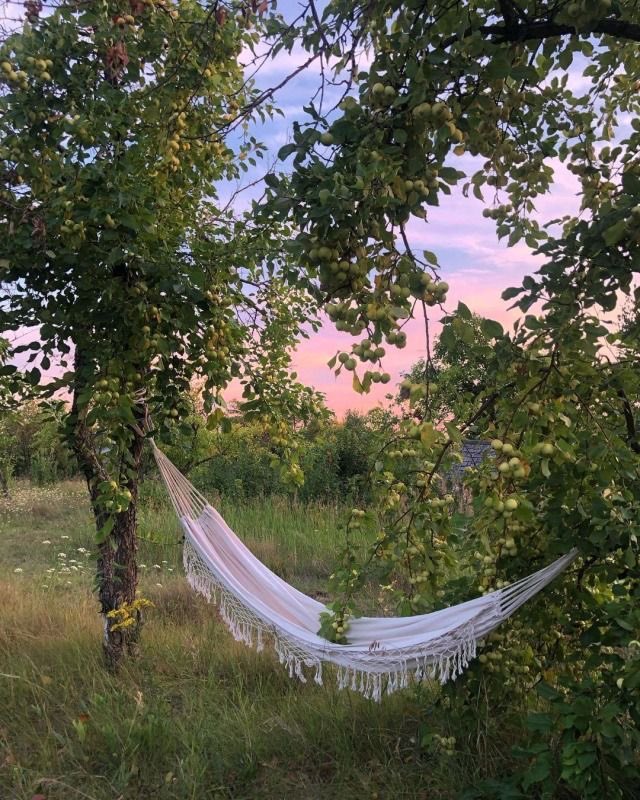 aeonianyou's tweet photo. slow living https://t.co/XLtYuDJDkz