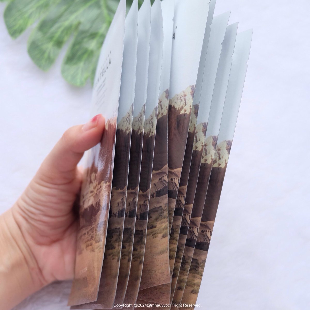 มาส์กที่ค่ตชอบบบบ ยกให้ #skin1004 ใช้ผิวแล้วฉ่ำมากกกก น้องช่วยเรื่องปลอบประโลมผิวให้ผิวแข็งแรงขึ้น ฉ่ำน้ำ ใครที่มีงานด่วนหรือต้องเร่งบูมผิวอยากให้ตำเลย เราเคยมาส์กติดต่อกัน7วันผิวหน้าคือฉ่ำมากกก 🥹✨ 

#ไว้รีวิวห้ามขายของโว้ยย