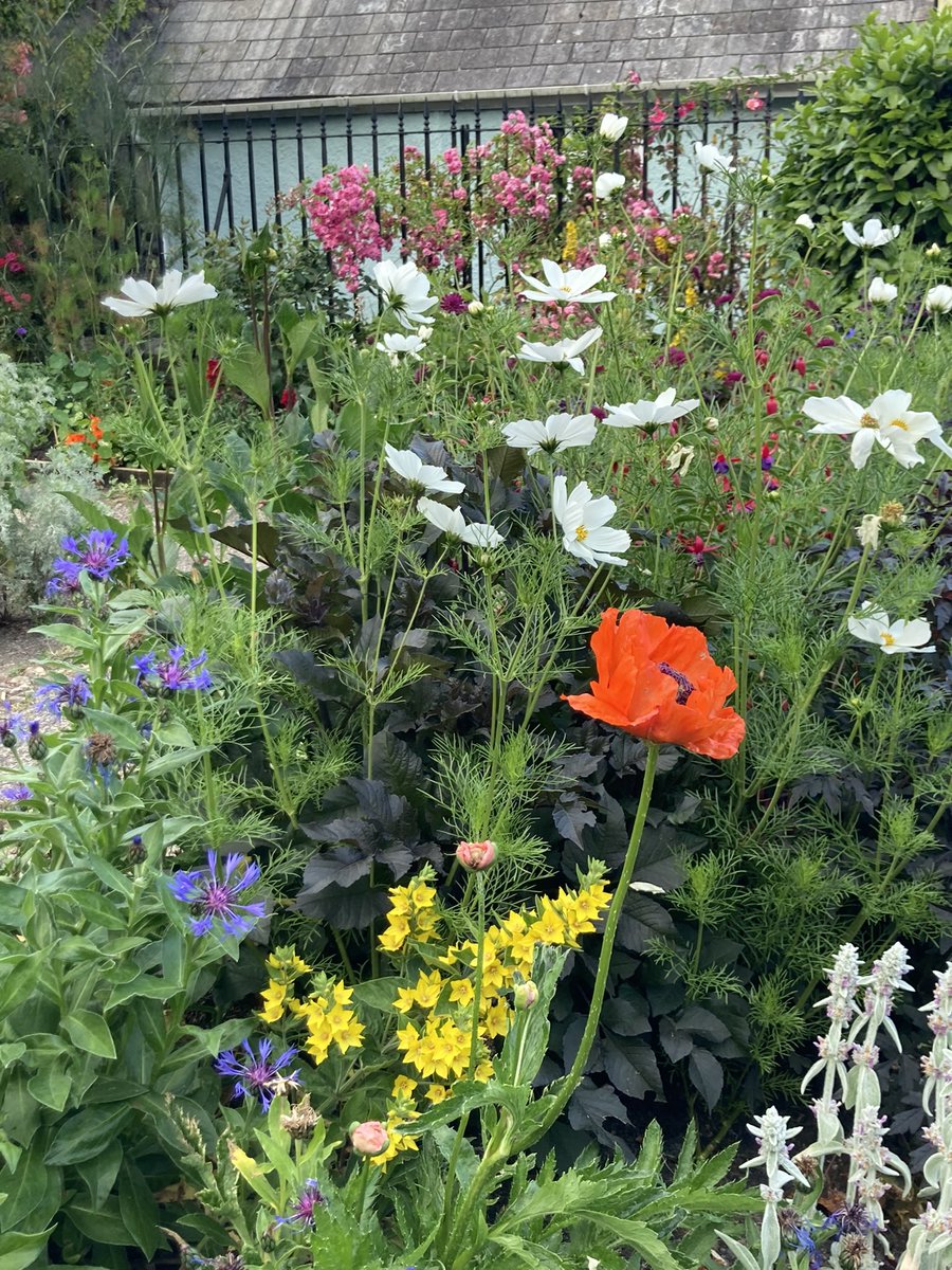 Richard Reynolds tweet media