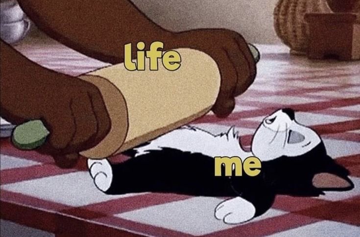 Arab Memes (@arabmemesss) on Twitter photo 