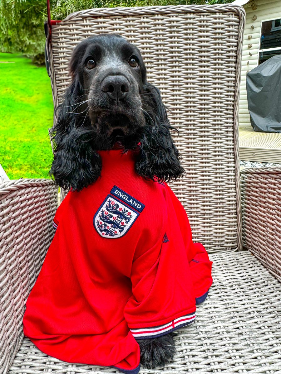 Simestone's tweet image. Good luck to the boys tonight from Sherlock 🏴󠁧󠁢󠁥󠁮󠁧󠁿❤️⚽️🐕‍🦺 #BringItHome