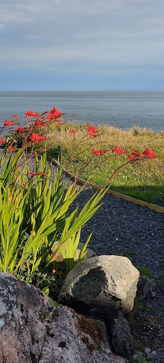 islayinht's tweet image. Loch indaal flat calm amazinhly no midged still hot out, lovely proper summer evening...... with gin!