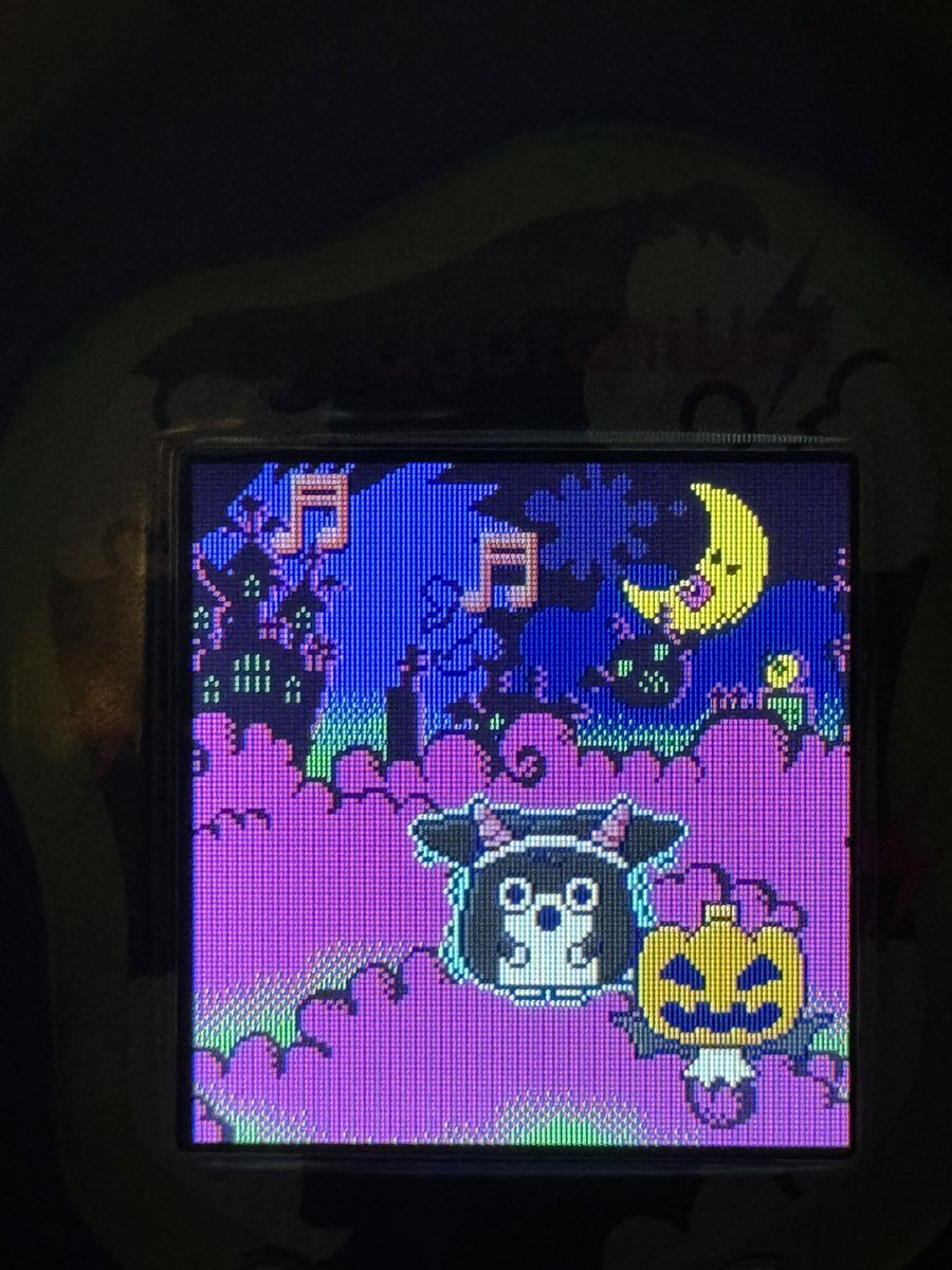 tarantula kat (@tarantulakat) on Twitter photo so anyway, this is where I live so anyway, this is where I live