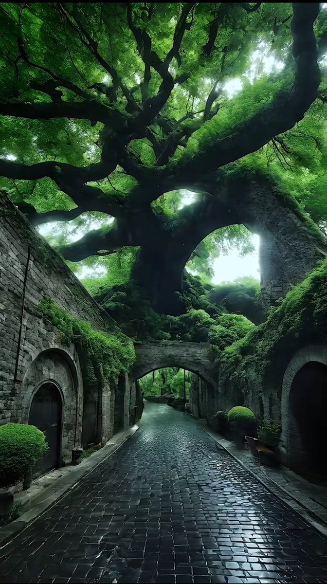 World in Pictures (@worldnpictures) on Twitter photo 