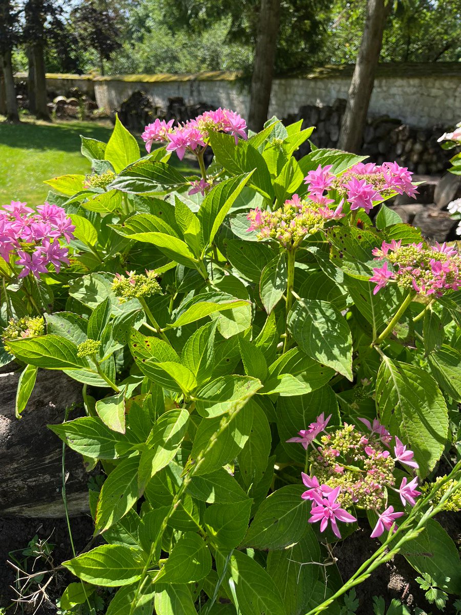 Toute la communauté du lycée Léonard de Vinci - Paris, vous souhaite de joyeuses vacances, après d'excellents résultats et de nombreuses mentions !