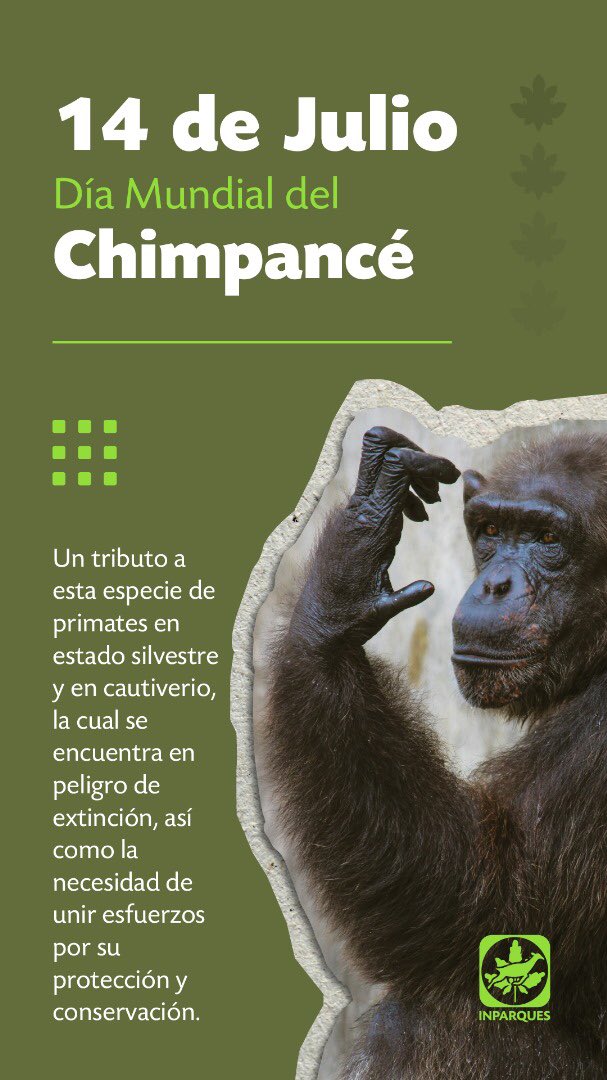 #14jul | ¡Celebramos el Día Mundial del Chimpancé!🐒

Fecha establecida para conmemorar la llegada de la Dra. Jane Goodall a Gombe en Tanzania y del inicio de su investigación pionera sobre los chimpancés salvajes. Este día nos brinda la oportunidad de entender la urgente…
