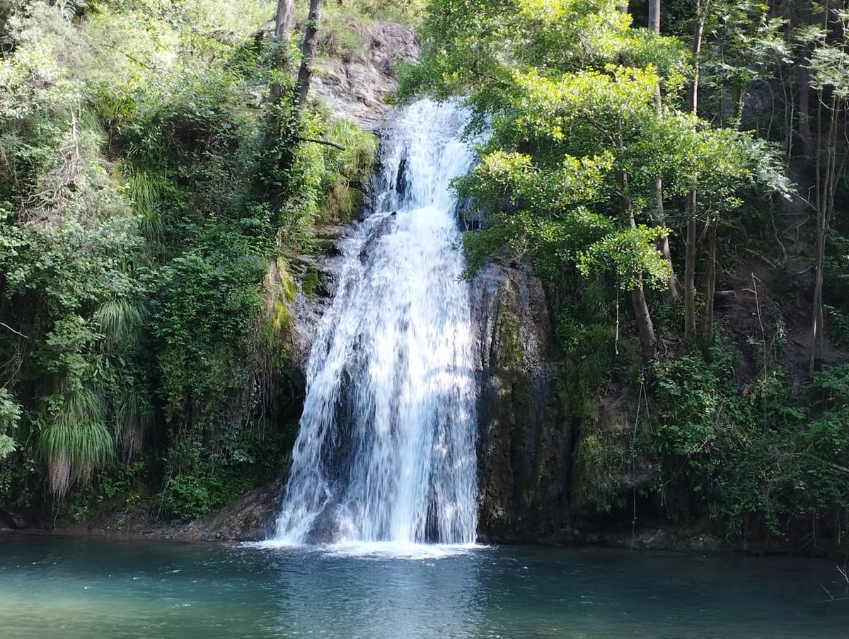 Entre #gorgs, libèl.lula/sargantana #Garrotxa