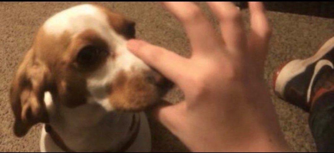 اخوان لحد يعفط اعتبروه جاهل وغلط بعد ميعيدها 🤌🏼😏