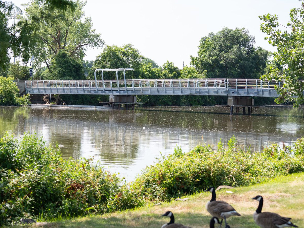 FDUWhatsNew's tweet photo. Even the geese miss our students! 🪿

📸 Bill Blanchard

#myfdu #fairleighdickinsonuniversity #summertime #wildlife #hackensackriver https://t.co/e2bXixtkLf