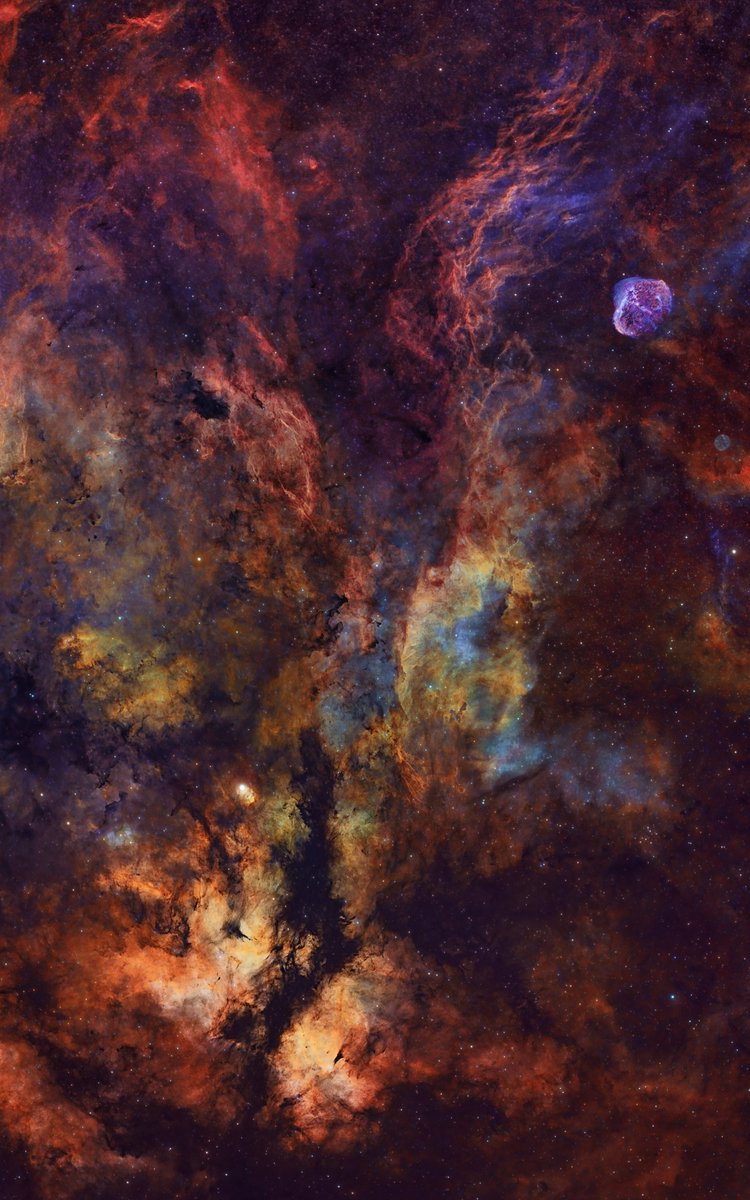 Is it too soon to go back to posting photos of the stars? Anyways here’s my shot of the Butterfly Nebula. You can see the Crescent Nebula &amp; Soap Bubble in this photo as well! 

Naturally this area is quite red, but by balancing out the colors you can bring out a whole spectrum.