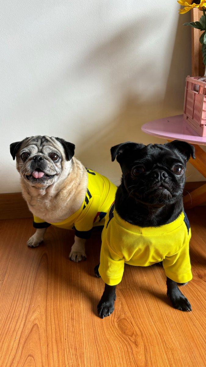 Se les puso la camiseta los partidos anteriores y hoy no podía ser la excepción